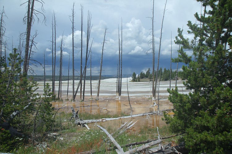 Lower Geyser Basin