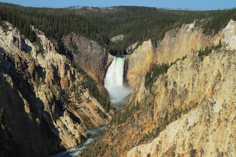 Lower Yellowstone Falls