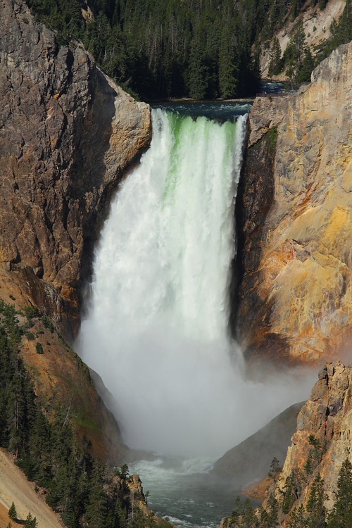 Lower Yellowstone Falls