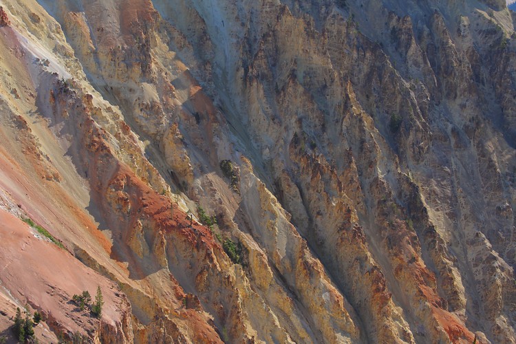 Grand Canyon of the Yellowstone