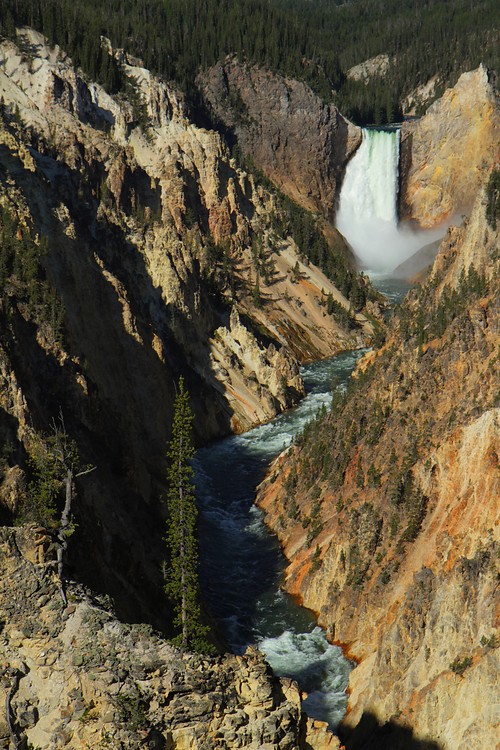 Lower Yellowstone Falls