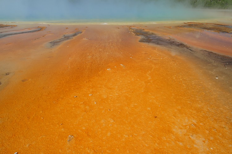 Grand Prismatic Spring