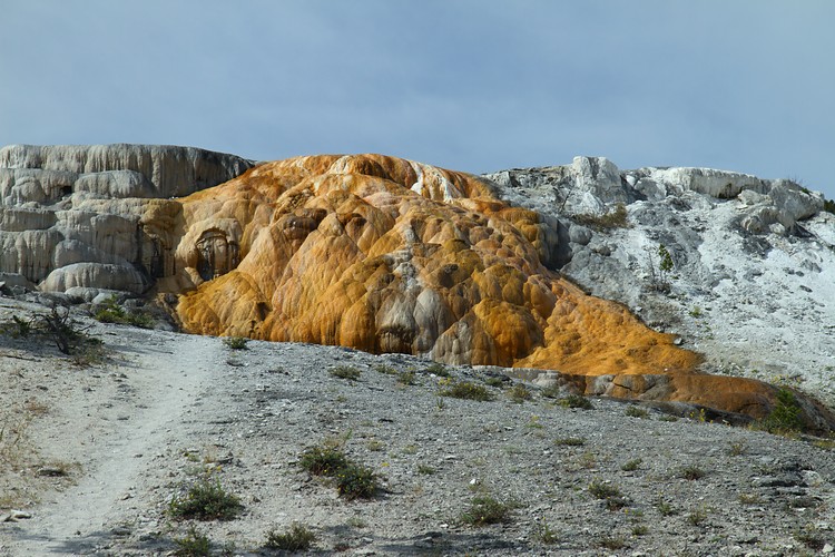 Mammoth Hot Springs