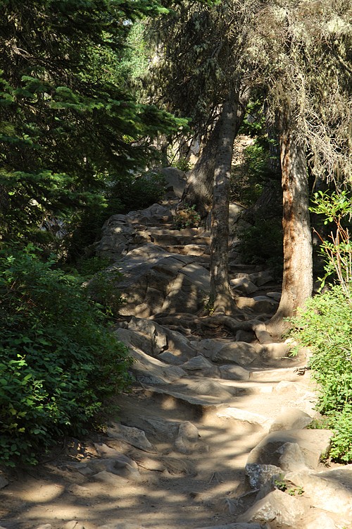 Cascade Canyon Trail