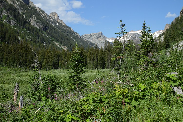 Cascade Canyon