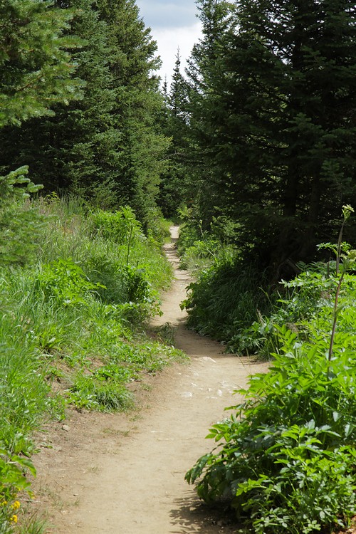 Cascade Canyon Trail