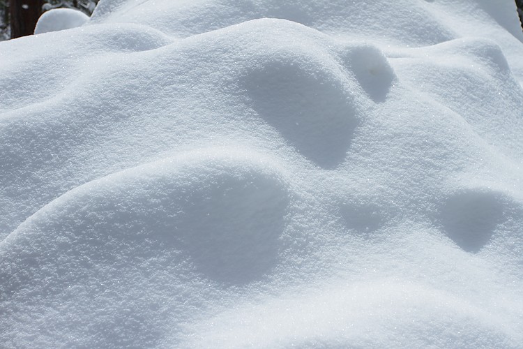 Snow texture