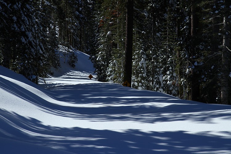 Glacier Point Road - unplowed