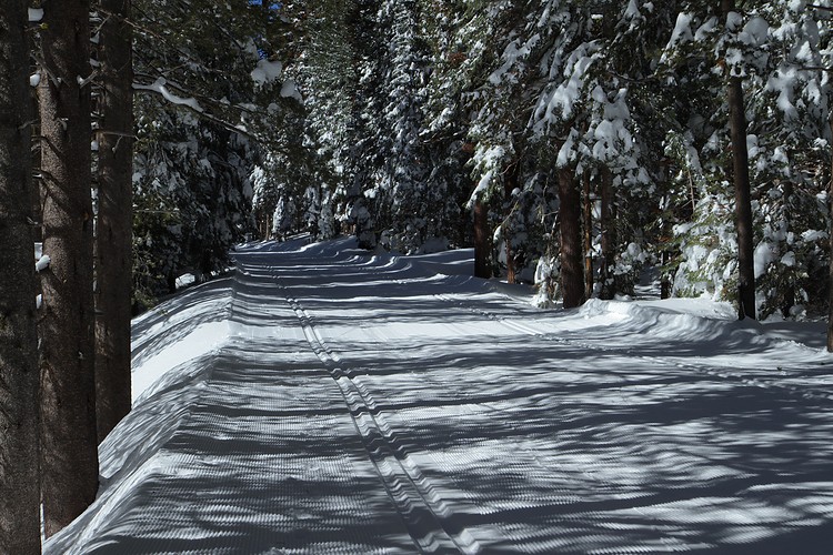 Glacier Point Road - groomed