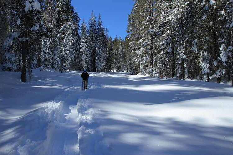 Diane walks the Meadow Trail
