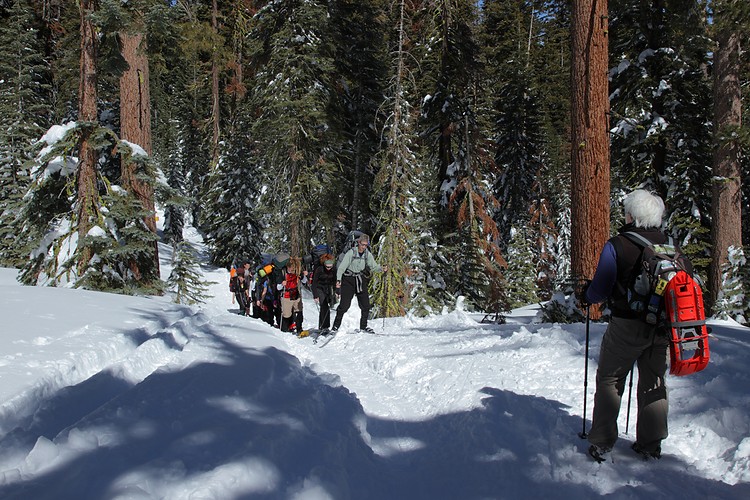 Meadow Trail congestion