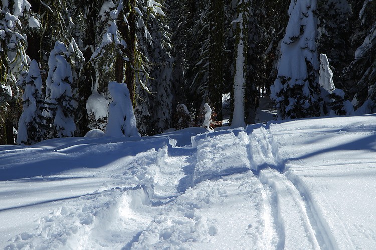 Ridge Trail from Dewey Point
