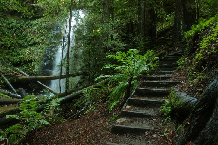 Silver Falls and Berry Creek Falls Trail