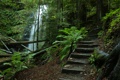 Silver Falls and Berry Creek Falls Trail