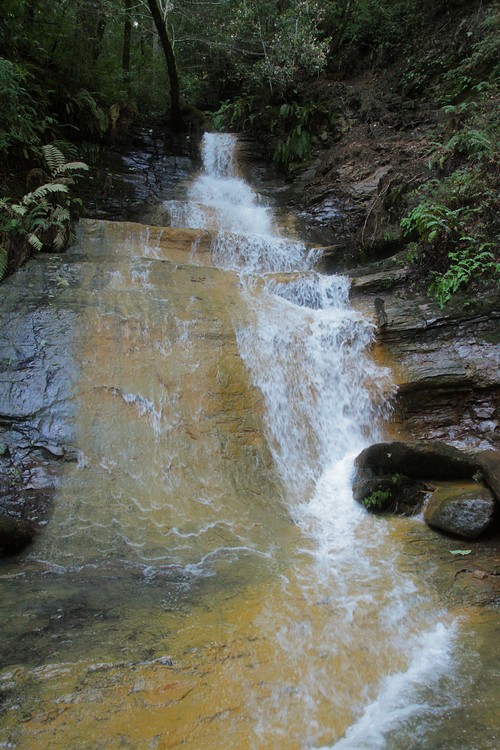 Golden Cascade