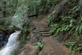 Golden Cascade and Berry Creek Falls Trail