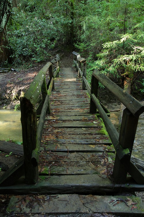 Bridge over West Waddell Creek
