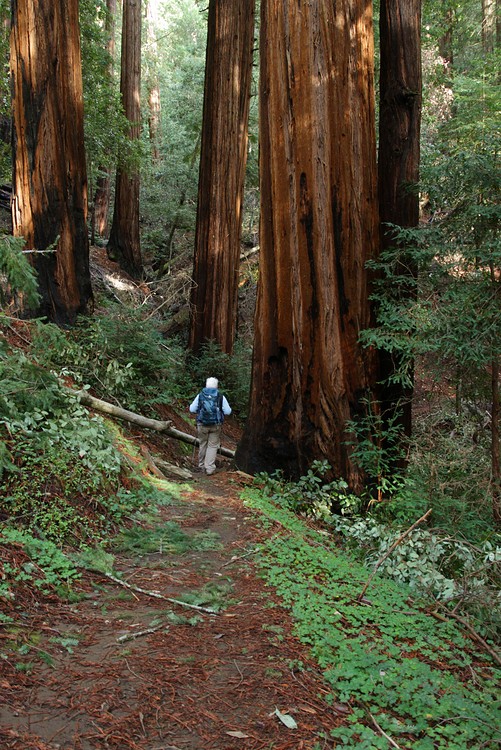 Diane Hikes the Sunset Trail