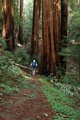 Diane Hikes the Sunset Trail