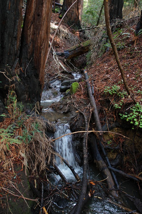 Winter stream above the Sunset Trail