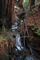 Winter stream above the Sunset Trail