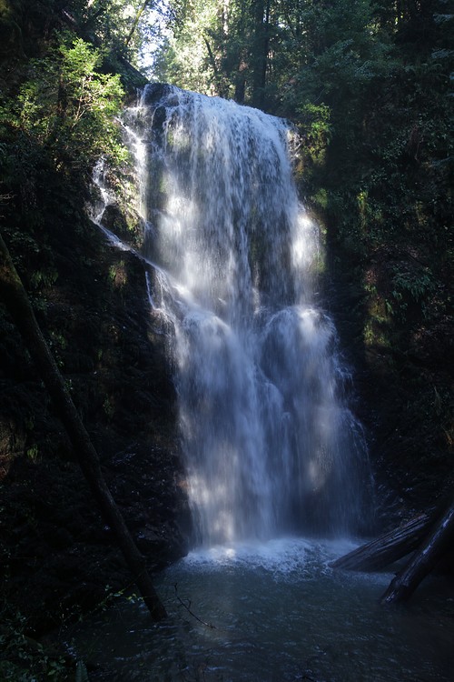 Berry Creek Falls