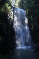 Berry Creek Falls