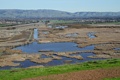 Coyote Hills wetlands