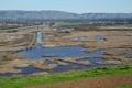 Coyote Hills Regional Park - December 9, 2012