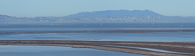 San Mateo Bridge and San Francisco from Coyote Hills