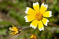 Edgewood County Park - May 5, 2012