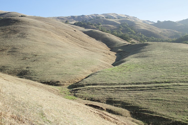 Mission Peak