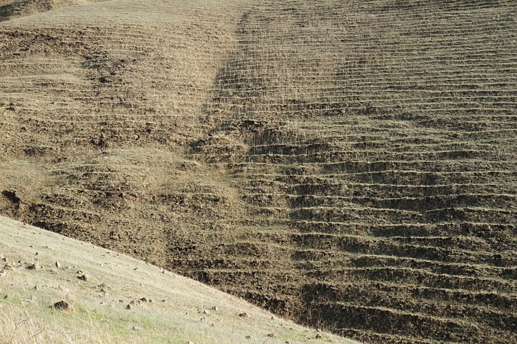 Grazing contours