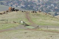 Cattle guard