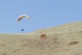 Paraglider