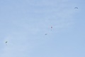 Paragliders