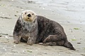 Moss Landing State Beach - September 9-10, 2012