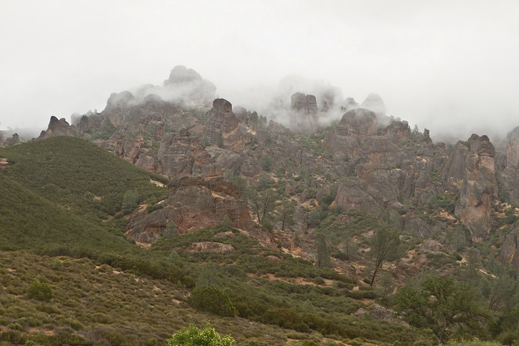 Morning fog at West Pinnacles