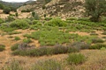 Balconies Trail