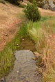 West Fork Chalone Creek