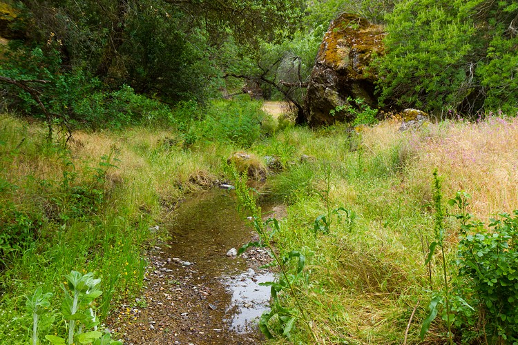 West Fork Chalone Creek