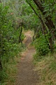 Old Pinnacles Trail