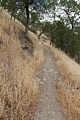 High Peaks Trail