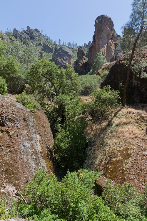 Pinnacles