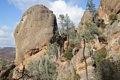 Pinnacles