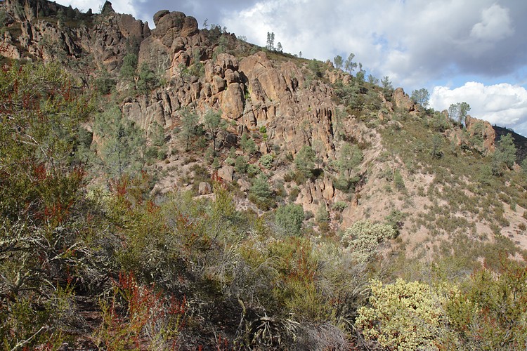 Pinnacles
