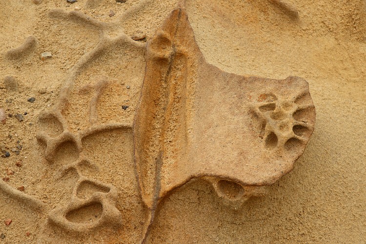 Sandstone
