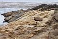 Point Lobos State Reserve - September 10, 2012