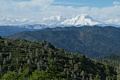 Mount Shasta