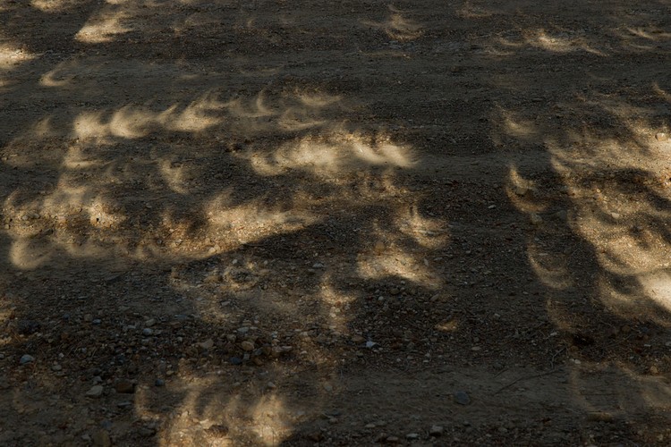 Partial eclipse effects